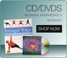 CD / DVD