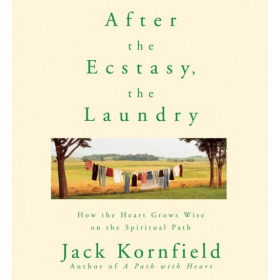 After the Ecstasy, the Laundry by Jack Kornfield 8 CD set