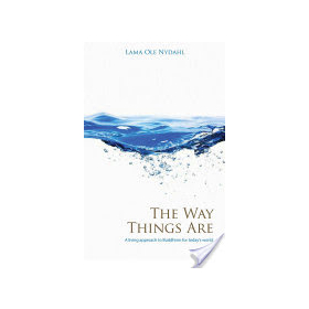 The Way Things Are: A Living Approach to Buddhism by Lama Ole Nydahl