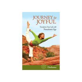 Journey to Joyful by Dashama Konah Gordon