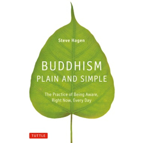 Buddhism Plain and Simple by Steve Hagen